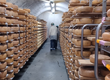 What is Affinage? The Invisible Art of Maturing Cheese