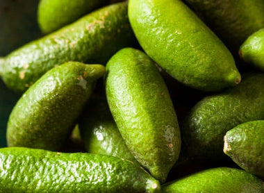 New Instore - Finger Lime by Indigiearth