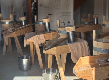 Breaking Bread in Saint-Haon-le-Châtel: The Training That Changed Everything