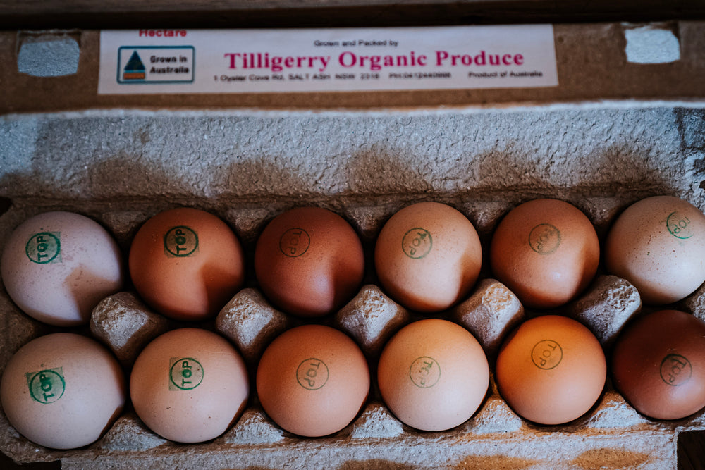 House Truffled Fresh Free Range Eggs * Available for Pre-Order*