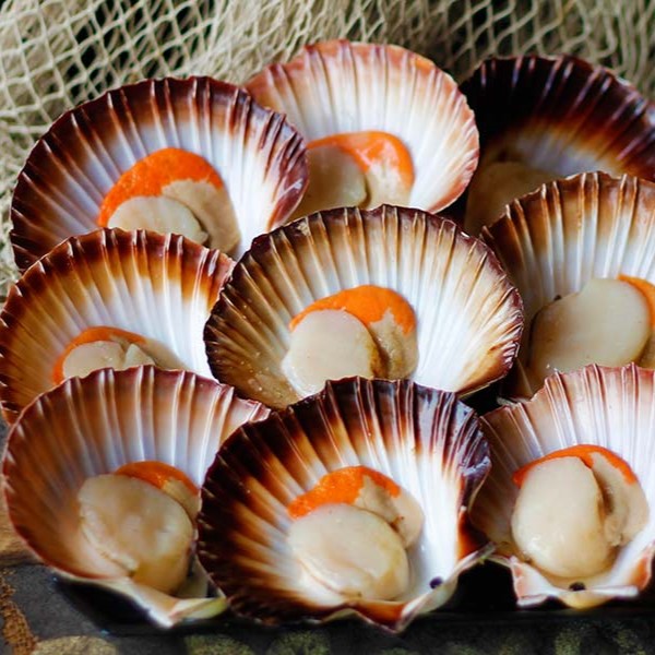 Scallop on Half Shell - Tasmanian Dozen